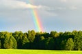 Rural landscape with beautiful rainbow after summer rainstorm over the forest.