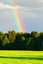 Rural landscape with beautiful rainbow after summer rainstorm over the forest.