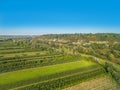 Rural landscape with bird`s eye view. Cultivated fields and a hill covered with trees. Royalty Free Stock Photo