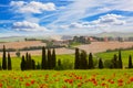 Rural landscape with blossoming poppies