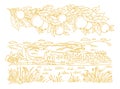 Rural landscape. Branch of an orange tree. Leaves and fruits. Garden trees. Village field. Hand drawn sketch