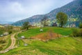 rural landscape of carpathian mountains Royalty Free Stock Photo