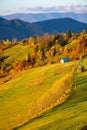 Rural landscape of carpathian mountains at sunrise