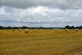 Rural landscape. Cereal field and straw bales on the compressed stubble. Open spaces. Horizon. White clouds Royalty Free Stock Photo