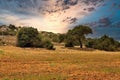 Rural landscape close to Ayia Napa, Cyprus Royalty Free Stock Photo