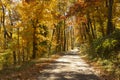 Rural Landscape Country Road Fall Autumn Season Leaves Changing Royalty Free Stock Photo