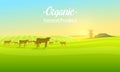 Rural landscape and cows. Farm Agriculture. Vector illustration. Poster with meadow, Countryside, retro village for info Royalty Free Stock Photo