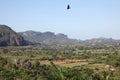 Rural landscape in Cuba, Vinales