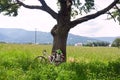 Rural landscape cyclist rest under a tree in Moravian-Silesian region against the background of mountains Western Carpathians