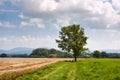 Rural landscape cyclist rest under a tree in Moravian-Silesian region against the background of mountains Western Carpathians