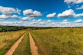 Rural landscape dirt road in the field Royalty Free Stock Photo