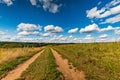 Rural landscape dirt road in the field Royalty Free Stock Photo