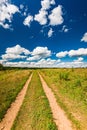 Rural landscape dirt road in the field Royalty Free Stock Photo