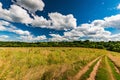 Rural landscape dirt road in the field Royalty Free Stock Photo