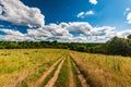 Rural landscape dirt road in the field Royalty Free Stock Photo