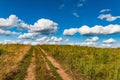 Rural landscape dirt road in the field Royalty Free Stock Photo