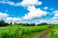 Rural landscape dirt road in the field Royalty Free Stock Photo