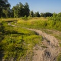 Rural landscape dirt road in the forest. Spring forest. Royalty Free Stock Photo