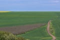 Rural landscape with a dirt road through a green field and blue sky. Royalty Free Stock Photo