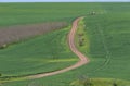 Rural landscape with a dirt road through a green field and blue sky Royalty Free Stock Photo