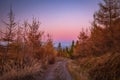 Rural landscape with dirt road Royalty Free Stock Photo