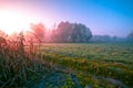 Rural landscape in the early morning Royalty Free Stock Photo