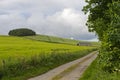 Rural landscape in the East Neuk of Fife