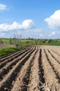 Rural Landscape Eastern Poland Royalty Free Stock Photo