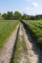 Rural Landscape Eastern Poland Royalty Free Stock Photo