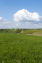 Rural Landscape Eastern Poland Royalty Free Stock Photo