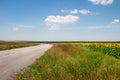 Rural landscape of empty road near sunflower field at summer sunny day Royalty Free Stock Photo