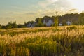 Rural landscape in evening at sunset. Silhouette of village against beautiful gradient evening sky. Evening landscape in yellow to Royalty Free Stock Photo