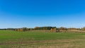 The rural landscape in the fall. Traces of tractor tyres in the cereal field Royalty Free Stock Photo