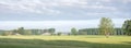 Rural landscape with farm on utrechtse heuvelrug near Doorn and Leersum