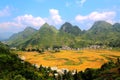 Rural landscape in Chinese counteyside Royalty Free Stock Photo