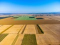 Rural landscape featuring a wide open field of golden crops.