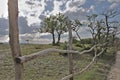 Rural landscape with a fence, trees and clouds in the mountains of Dagestan, near the Sulak Canyon. Linear perspective Royalty Free Stock Photo