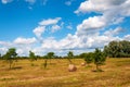 Rural landscape of field of haystacks under cloudy sky. Royalty Free Stock Photo