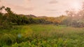 Rural landscape field and grass with sunlight and mountain in sunshine day morning