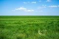 Rural landscape.Field with green fresh grass against a blue sky and white clouds, on a spring sunny day. Beautiful Royalty Free Stock Photo