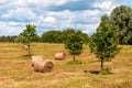 Rural landscape of field of haystacks under cloudy sky. Royalty Free Stock Photo