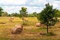 Rural landscape of field of haystacks under cloudy sky. Royalty Free Stock Photo