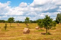 Rural landscape of field of haystacks under cloudy sky. Royalty Free Stock Photo