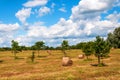 Rural landscape of field of haystacks under cloudy sky. Royalty Free Stock Photo