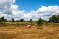 Rural landscape of field of haystacks under cloudy sky. Royalty Free Stock Photo