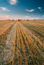 Rural Landscape Field Meadow With Hay Bales During Harvest In Sunny Evening. Late Summer Royalty Free Stock Photo