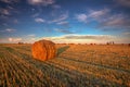 Rural Landscape Field Meadow With Hay Bales During Harvest In Sunny Evening. Late Summer Royalty Free Stock Photo