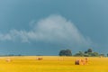 Rural Landscape Field Meadow With Hay Bales During Harvest In Sunny Evening. Late Summer Royalty Free Stock Photo