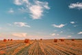 Rural Landscape Field Meadow With Hay Bales During Harvest In Sunny Evening. Sunset In Late Summer Royalty Free Stock Photo