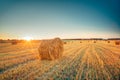 Rural Landscape Field Meadow With Hay Bales After Harvest In Sunny Evening At Sunset Royalty Free Stock Photo